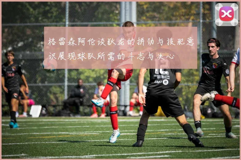 格雷森阿伦谈狄龙的拼劲与技犯意识展现球队所需的斗志与决心