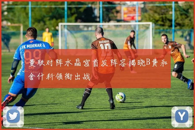曼联对阵水晶宫首发阵容揭晓B费和舍什科领衔出战